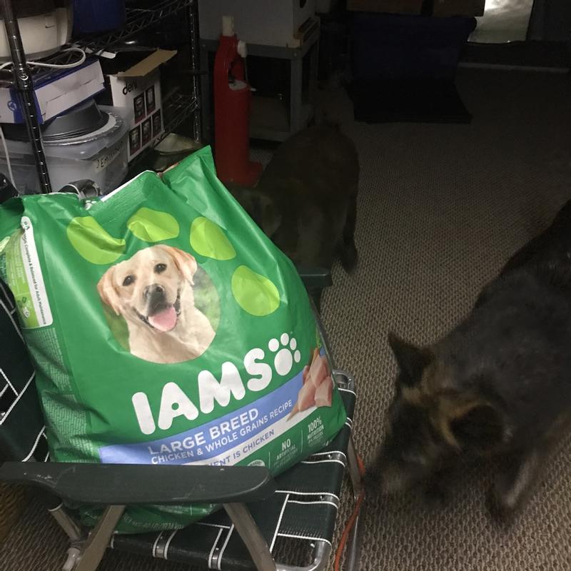 Costco iams hot sale dog food