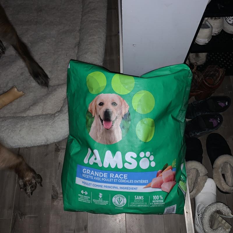 Iams ProActive Health Adult Large Breed Dry Dog Food Petsense