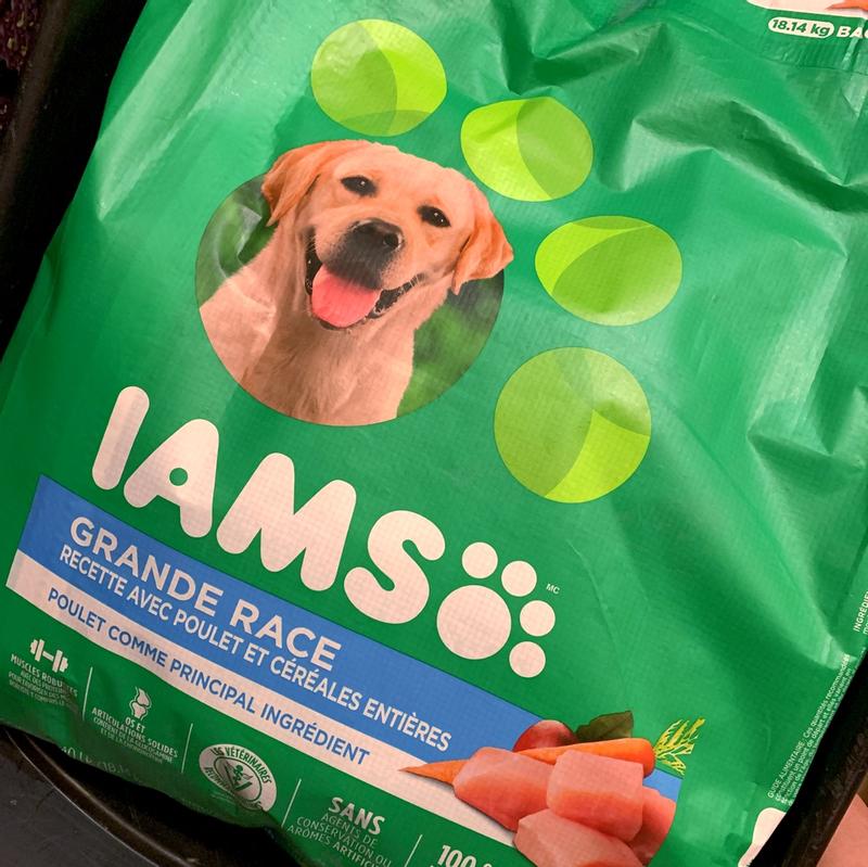 IAMS PROACTIVE HEALTH Adult Large Breed Dry Dog Food with Real