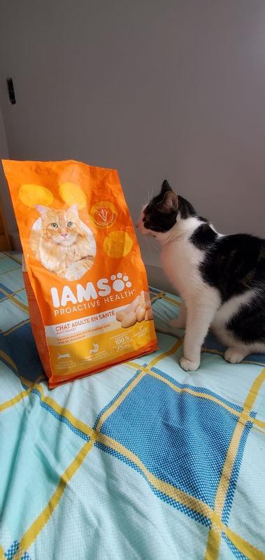 IAMS PROACTIVE HEALTH Adult Long Hair Care Dry Cat Food with Chicken Salmon