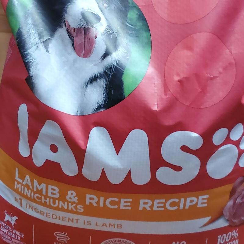 Photo - commentaire&nbsp;5.