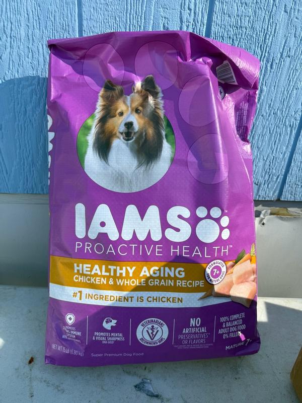 Iams Proactive Health Healthy Aging Iams Senior Dog Food Iams IAMS