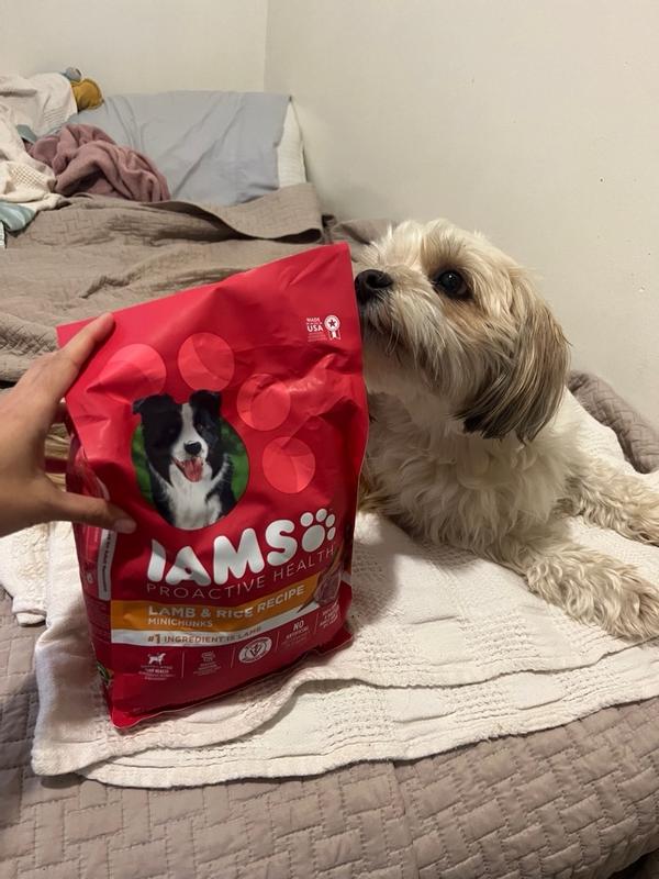 Iams proactive health small best sale and toy breed reviews