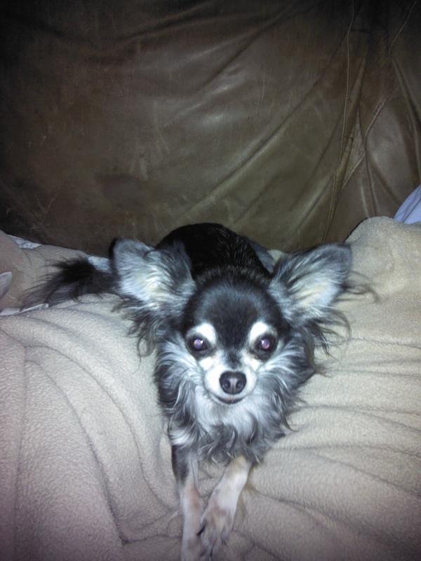 Chiquita