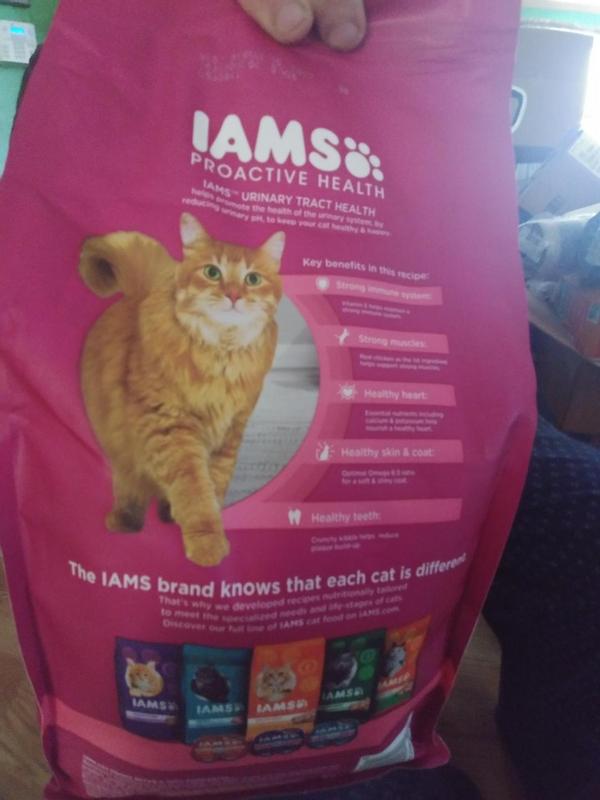 Iams urinary 2024 tract health