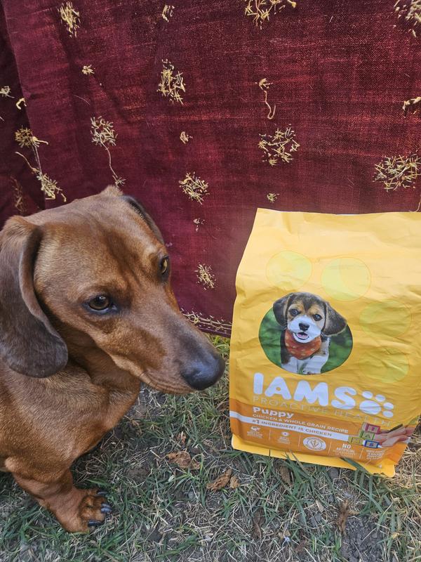 IAMS PUPPY