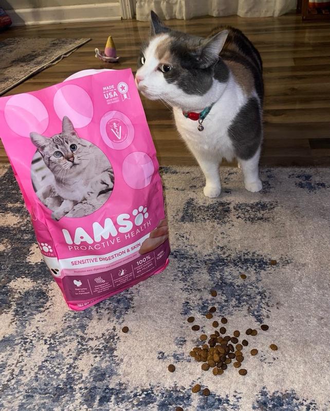 Iams sensitive hotsell skin and stomach