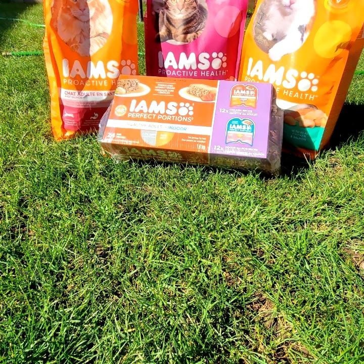IAMS Perfect Portions Healthy Adult Grain Free Chicken and Tuna Recipe Wet Cat Food Pate Variety Pack, 2.64 oz., Count of 12 | Petco