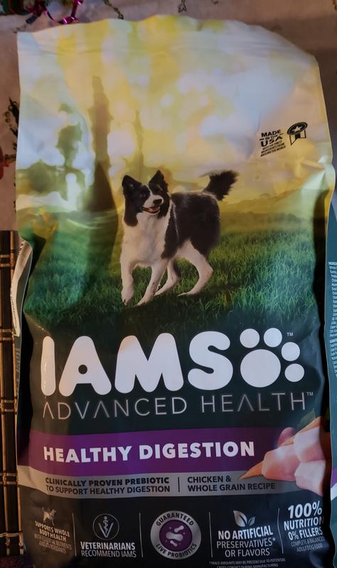 Iams food outlet review