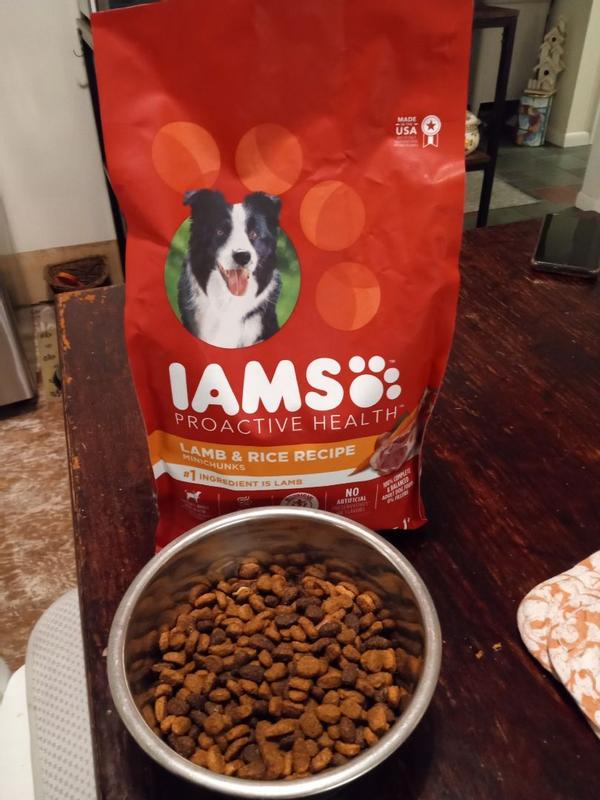 IAMS PROACTIVE HEALTH Minichunks Adult Dry Dog Food Lamb Rice Recipe Dog Kibble 15 lb. Bag Meijer