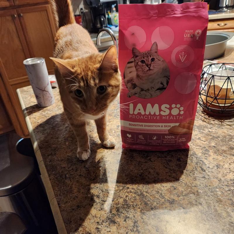 IAMS PROACTIVE HEALTH Adult Sensitive Digestion Skin Dry Cat