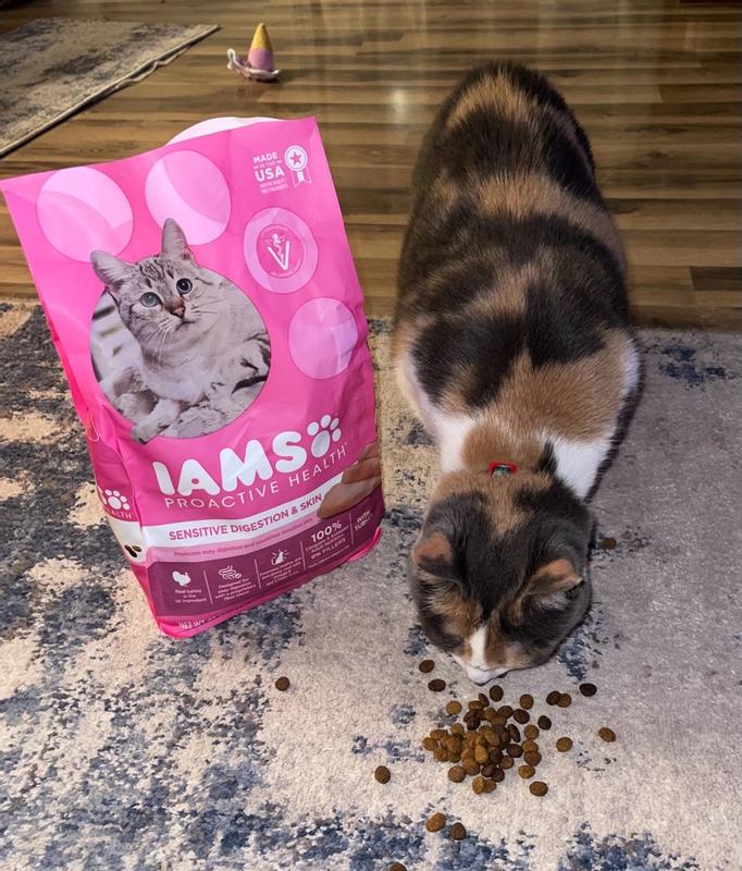 IAMS PROACTIVE HEALTH ADULT SENSITIVE DIGESTION SKIN