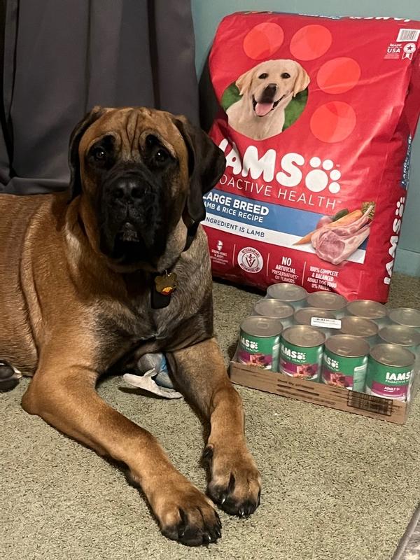 IAMS MINICHUNKS LAMB RICE