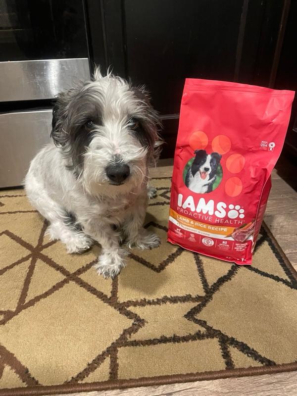 Iams proactive health lamb and rice reviews best sale