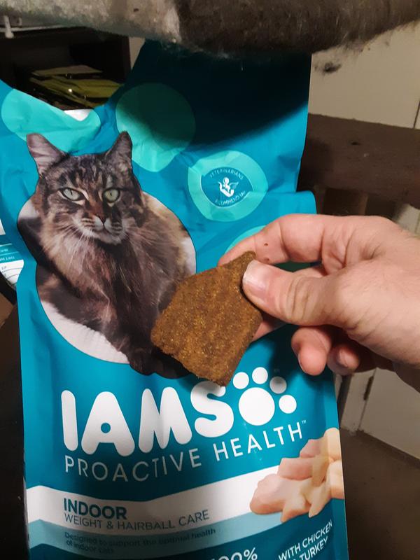 Iams 22 discount lb cat food