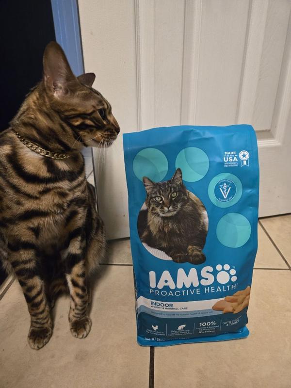 Iams 16 lb cat food hotsell