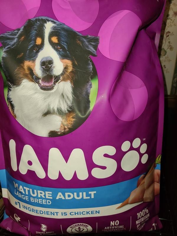 Iams proactive health 2024 senior plus large breed