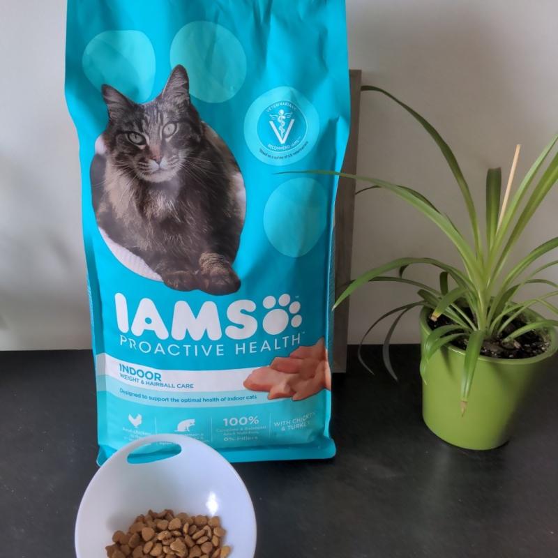 IAMS PROACTIVE HEALTH Indoor Weight and Hairball Care Adult Dry Cat Food  with Chicken and Turkey, 22 lb. Bag | Meijer
