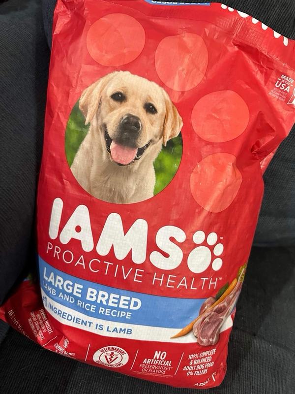 Iams labrador food best sale