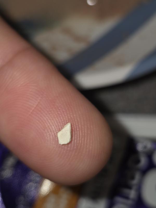 Piece of bone