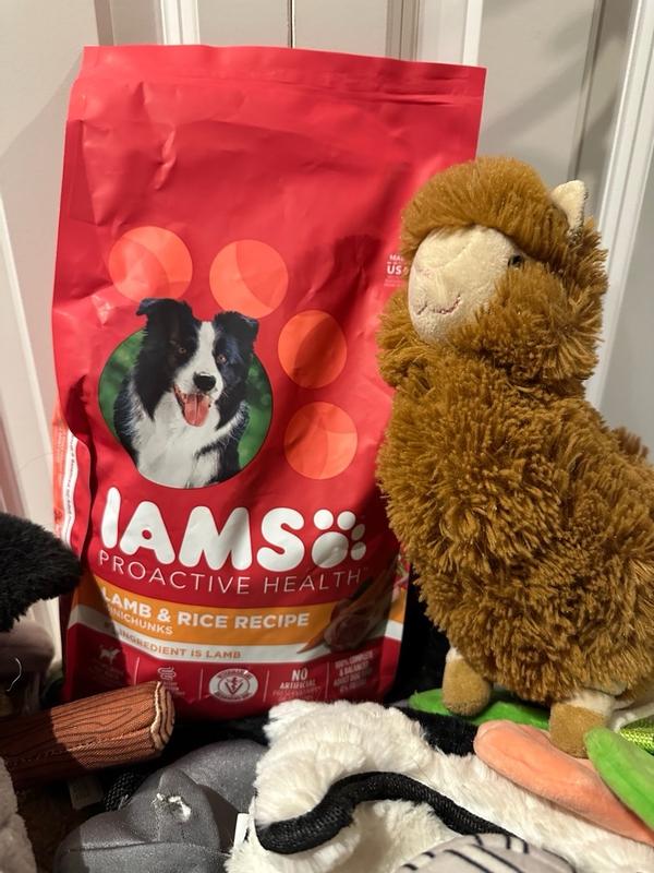 IAMS MINICHUNKS LAMB RICE