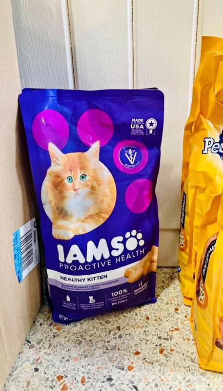 Iams Proactive Health Chicken Dry Kitten Food, 7 Lbs. 