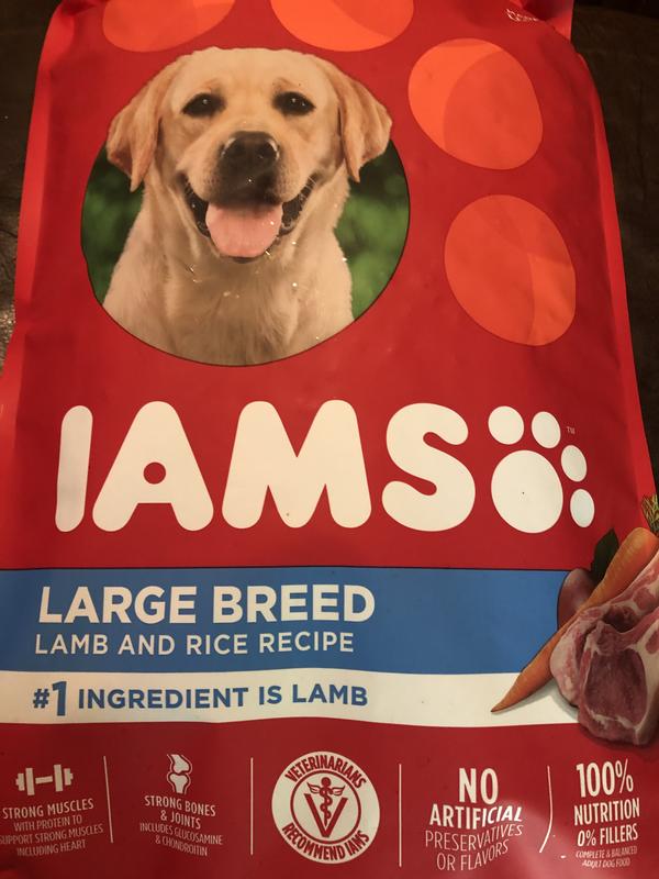 IAMS PROACTIVE HEALTH Large Breed Adult Dry Dog Food Lamb Rice