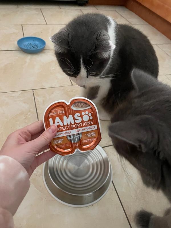 IAMS PERFECT PORTIONS Healthy Adult Grain Free Wet Cat Food Pat