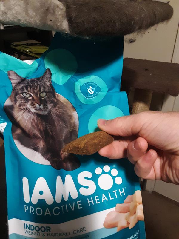 Iams weight and hairball control sale