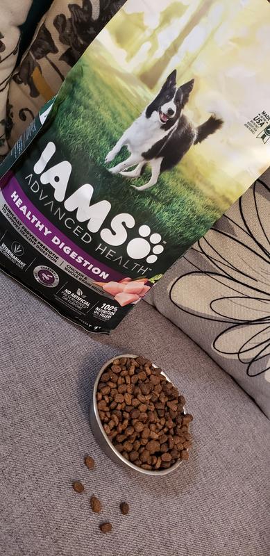 Iams digestive clearance health dog food