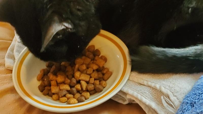 Bella says yum too!