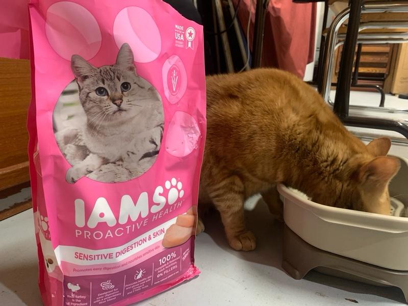 Iams cat food good or outlet bad