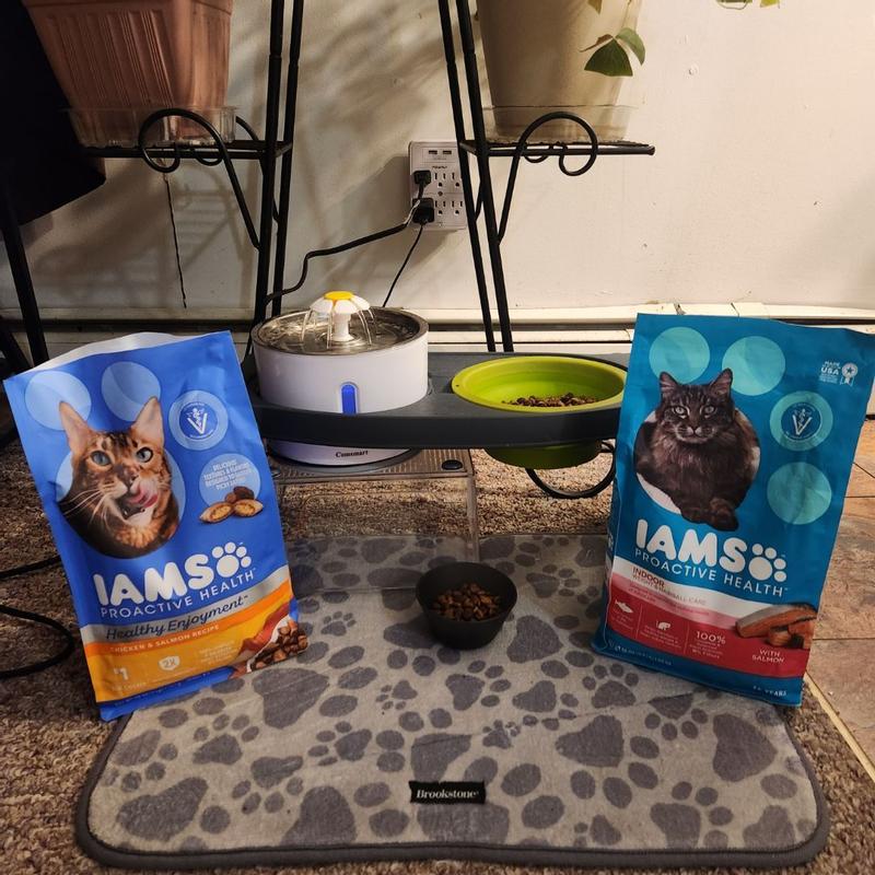 Iams overweight hotsell cat food