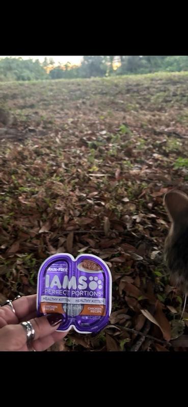 Iams 2024 kitten review