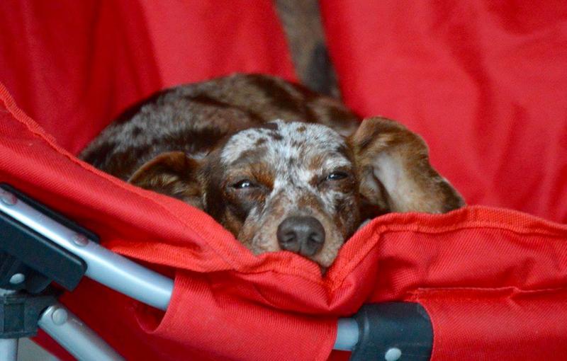 Photo - commentaire&nbsp;1.