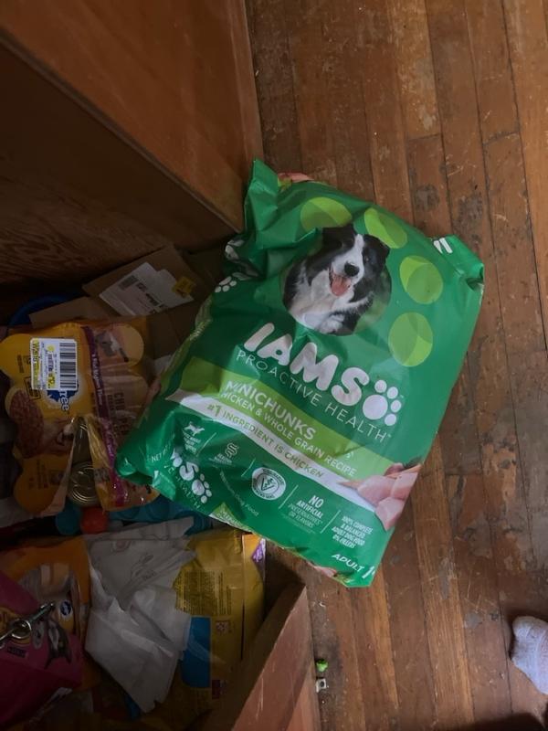 Walgreens iams 2024 dog food