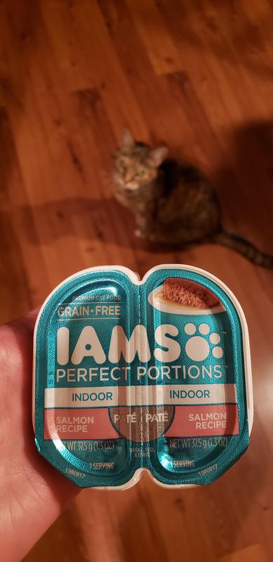 IAMS PERFECT PORTIONS Indoor Adult Grain Free Wet Cat Food Pate