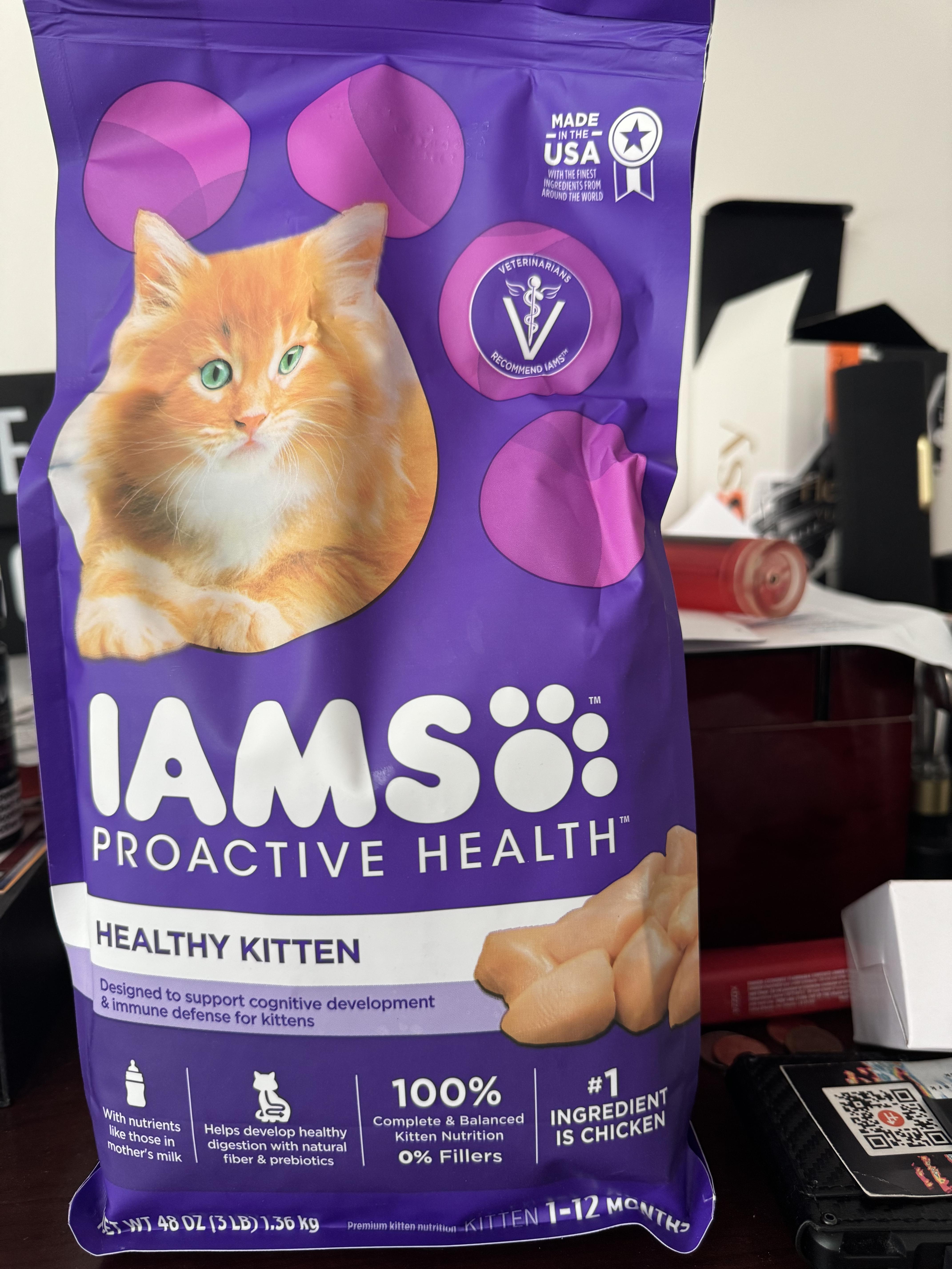 Iams kitten dry best sale