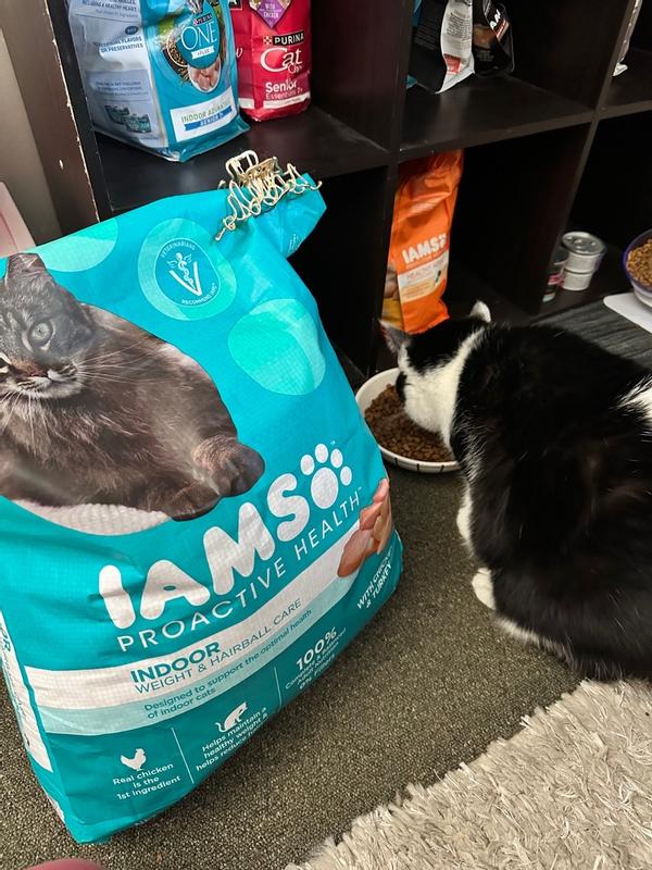 Weight Control Iams Cat Food 22 Lbs Iams Proactive Health Indoor