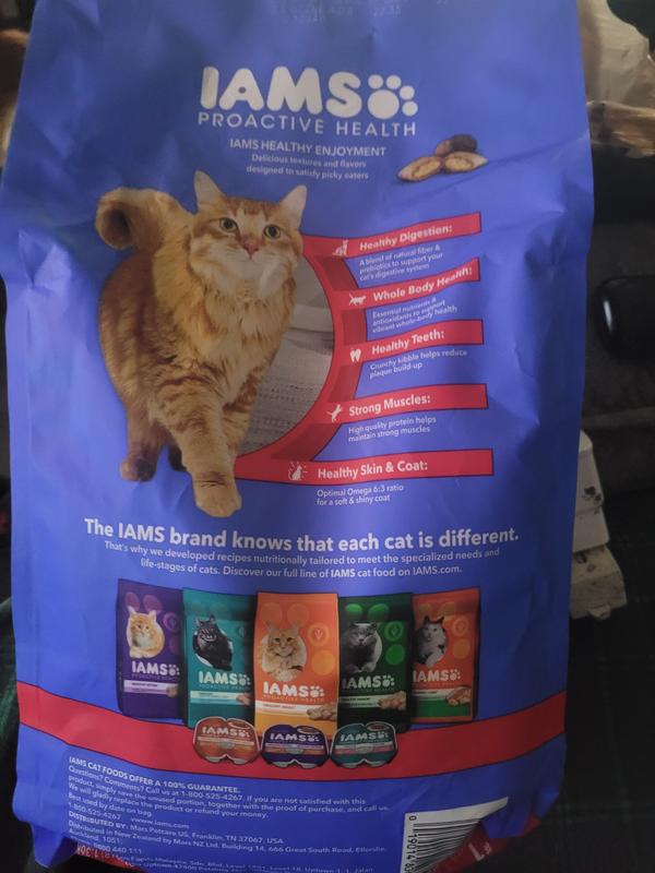 IAMS Healthy Enjoyment Dry Cat Food Chicken Salmon Recipe 6 lb