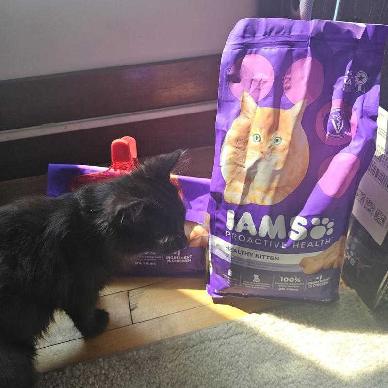 Iams ProActive Health Kitten Chicken Recipe Dry Cat Food Petsense