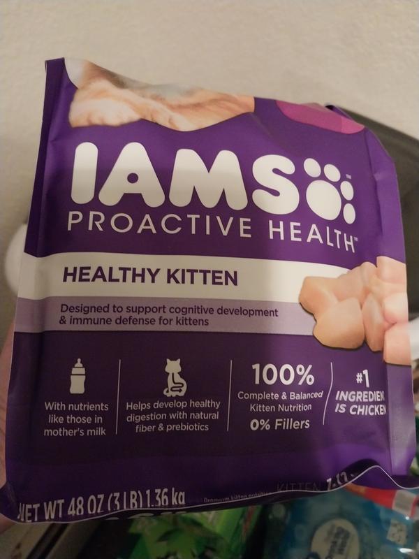 Iams healthy kitten best sale