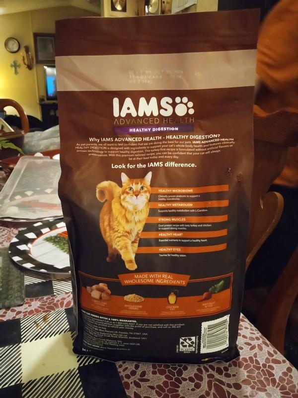 Iams digestive outlet health cat food