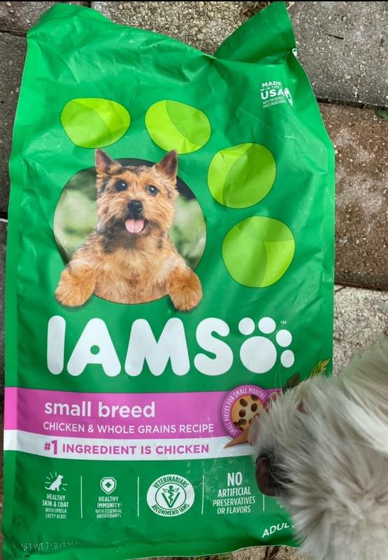 Iams toy clearance breed dog food