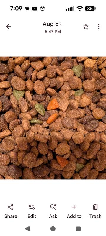 Orange green kibble in dog food