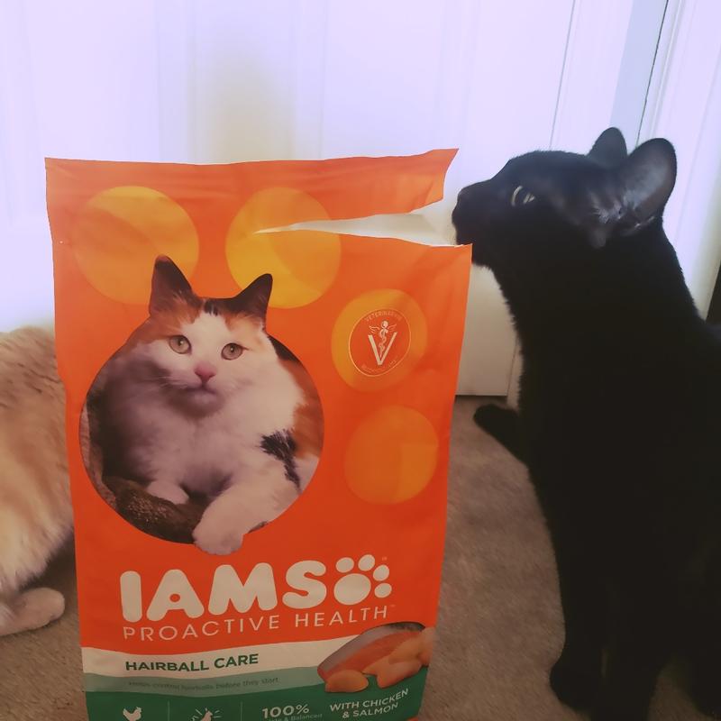 IAMS PROACTIVE HEALTH Adult Hairball Care Dry Cat Food with