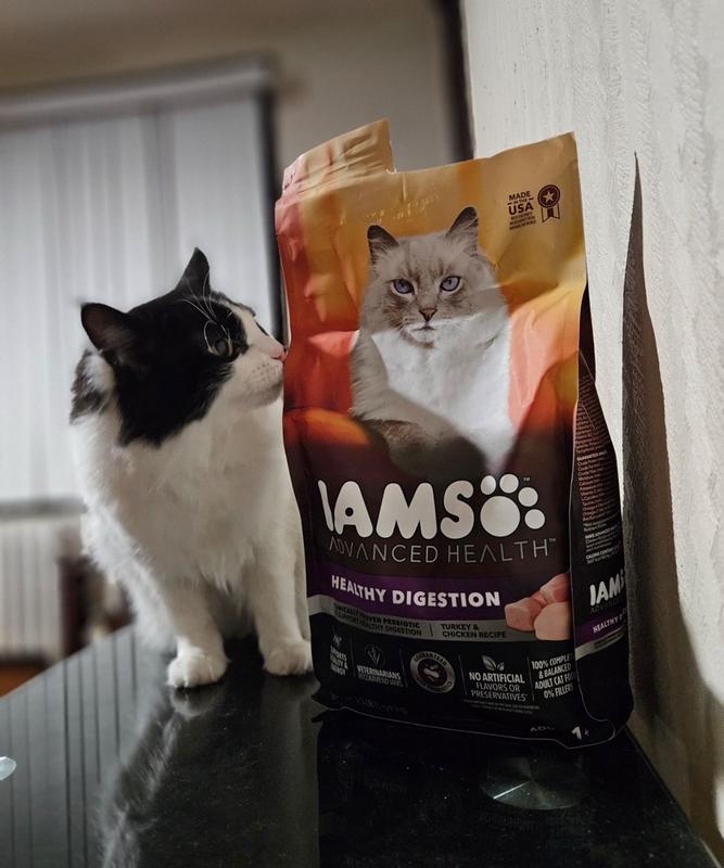 IAMS ADVANCED HEALTH DRY CAT HEALTHY DIGESTION TURKEY AND CHICKEN