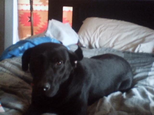 resting after the feast!