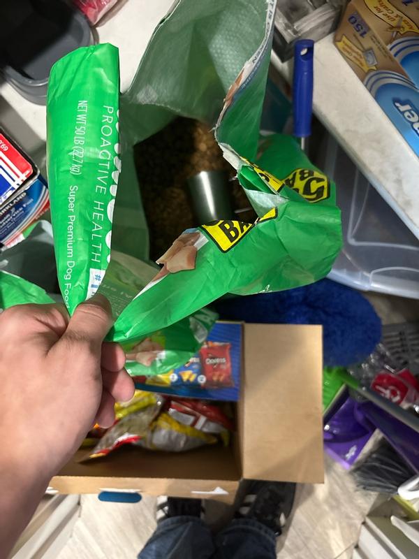 Photo - commentaire 2.