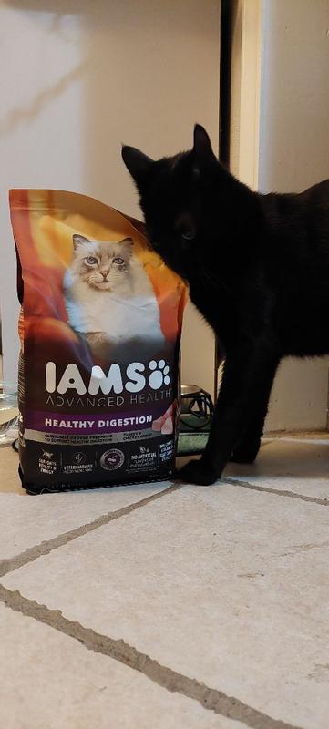 Iams Advanced Health Dry Cat Food Healthy Digestion Turkey